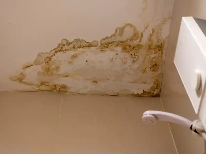 Banheiro com infiltração